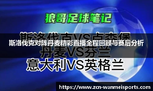 斯洛伐克对阵丹麦精彩直播全程回顾与赛后分析